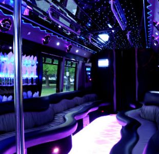 22-seater-party-bus-san-francisco-ca