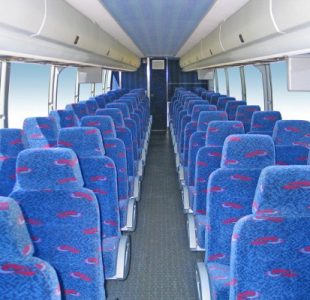 san-francisco-50-passenger-party-bus-service